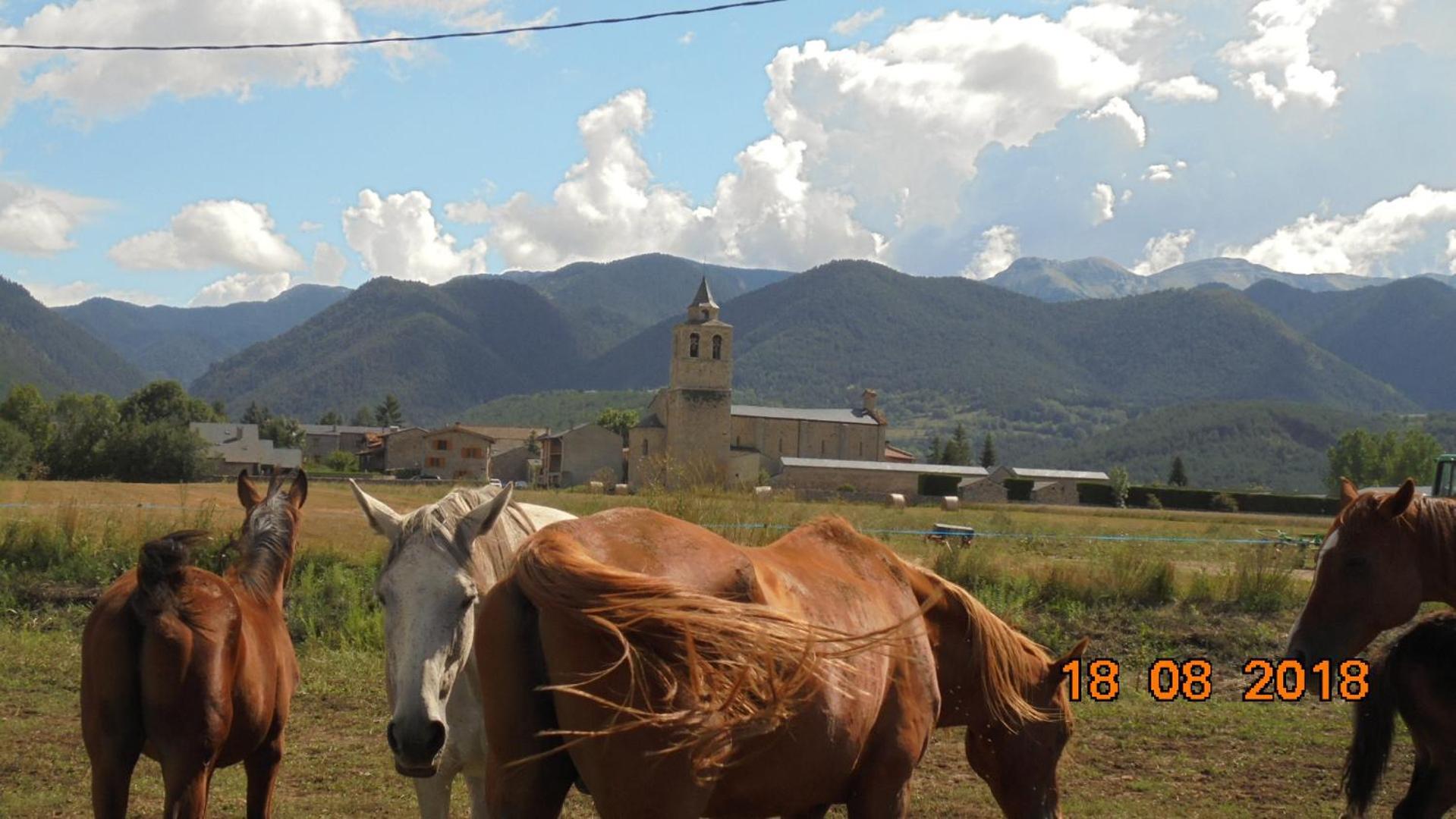 Can Vall Bellver Bellver De Cerdanya Eksteriør bilde